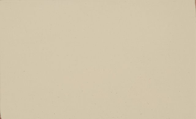 Khaki - Paint